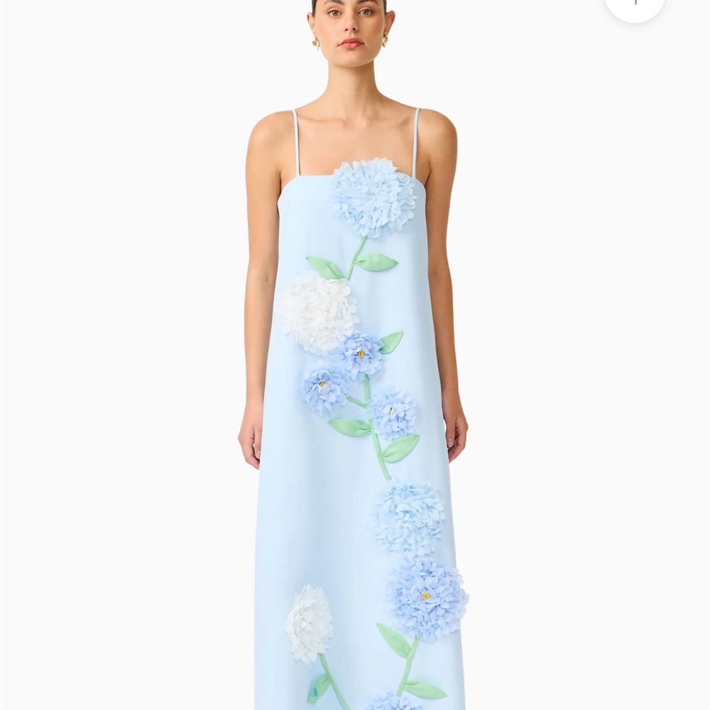 Buttercup Embroidered Maxi Dress In Blue